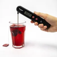 Westmark 1296 Insteekthermometer