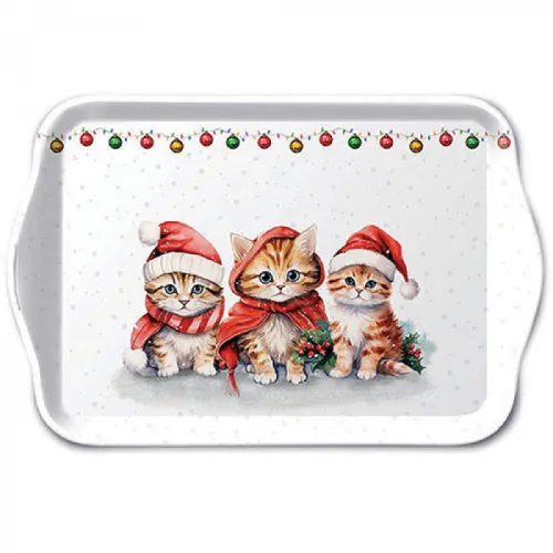 Melamine dienblad Grappige schattige kittens 13x21 cm 