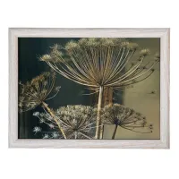 Kniedienblad met kussen eronder Berenklauw donker