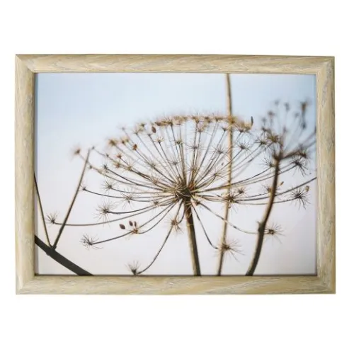 Kniedienblad met kussen eronder Natuur Berenklauw