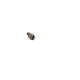 Pannengreep schroefje
