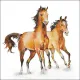 Servetten papier Wilde Paarden 25x25 cm