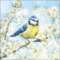 Servetten papier Bloesem tijd met vogel 25x25 cm             