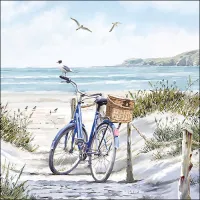 Servetten papier Fiets op het strand 33x33 cm