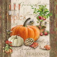 Servetten papier Herfst tuinieren 33x33 cm