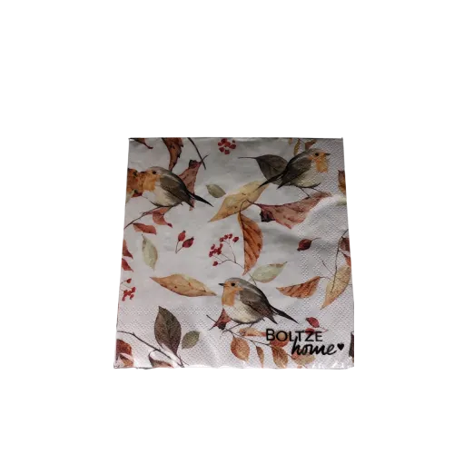Servetten papier Roodborstje herfst 33x33 cm                 