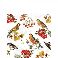 Servetten papier Herfstvogels 25x25 cm