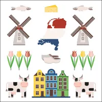 Servetten papier Holland Symbols 33x33 cm