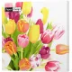 Servetten papier Tulpen 33x33 cm