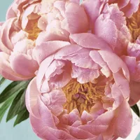 Servetten papier pink Peony 33x33 cm
