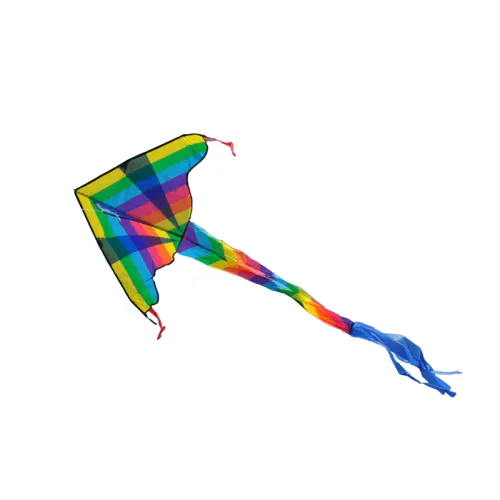 Vlieger coloured dragon 102x57 cm