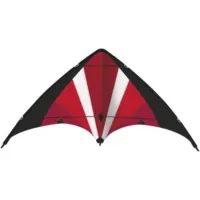 Gunther Stunt vlieger 130x72 cm